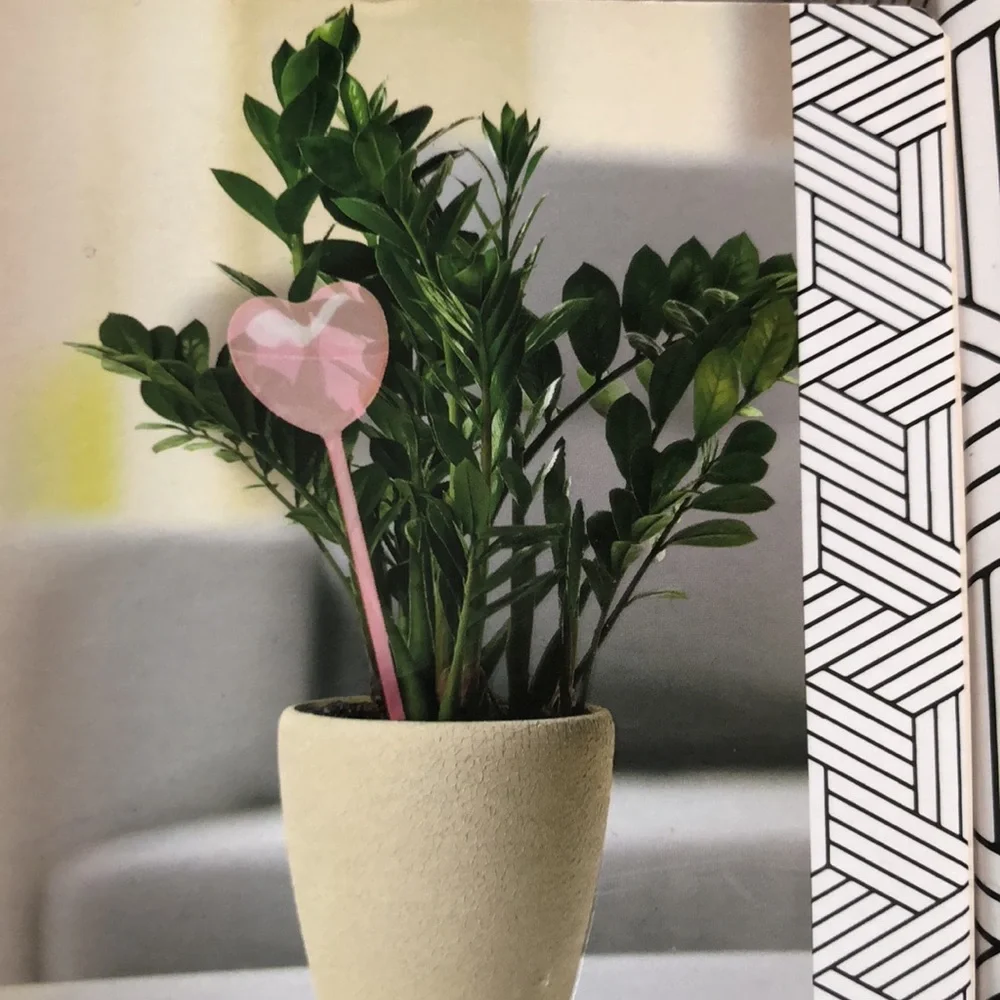 Rachel Zoe Pink Heart-Shaped Glass Watering Globes for Plants- Set of 2